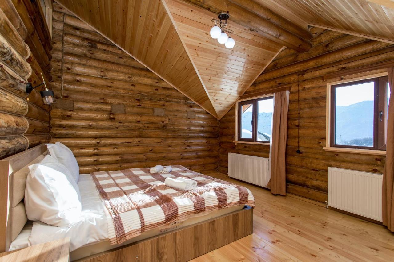 Snow Time Eco Chalet Goudaouri Extérieur photo