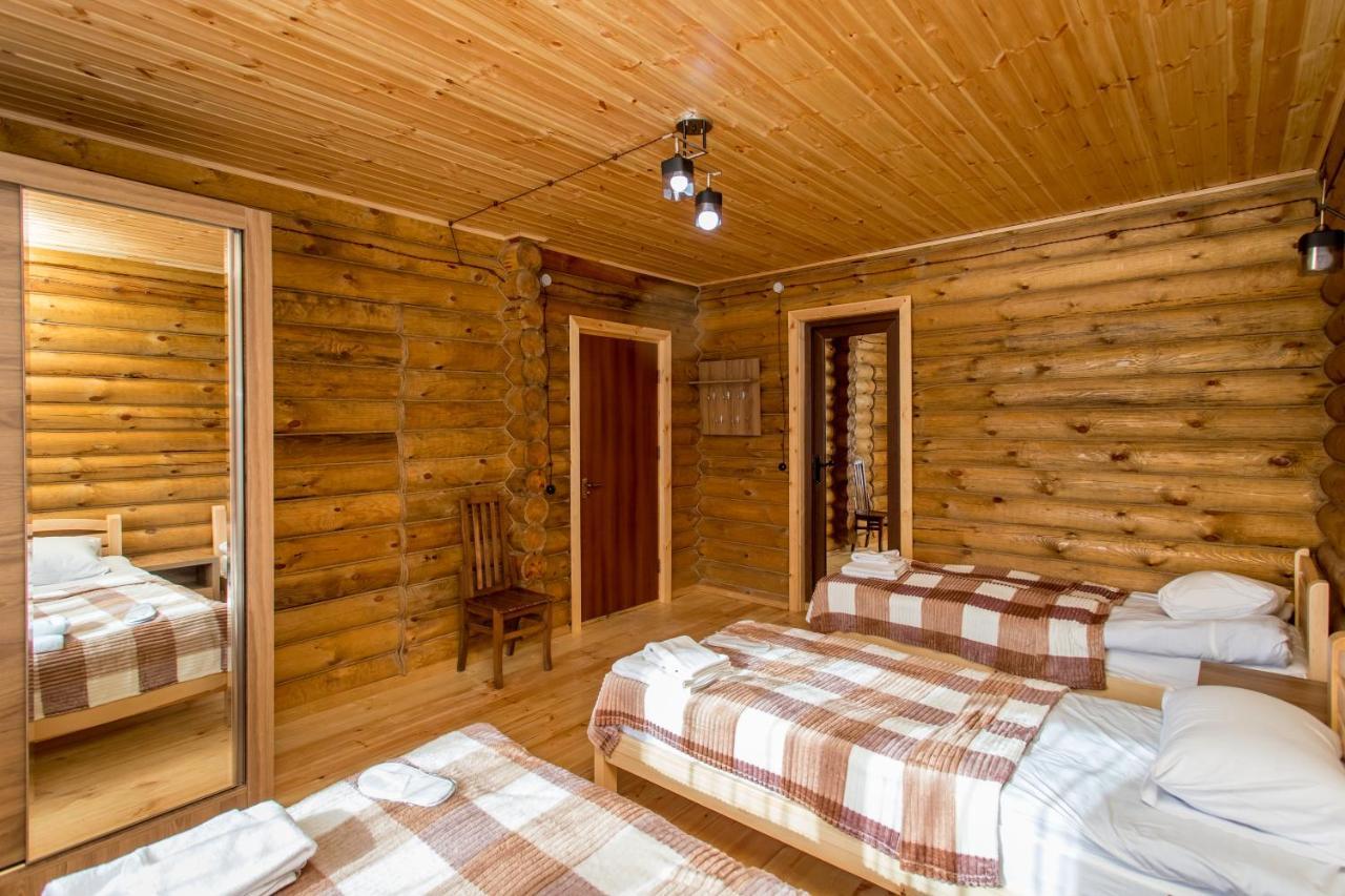 Snow Time Eco Chalet Goudaouri Extérieur photo