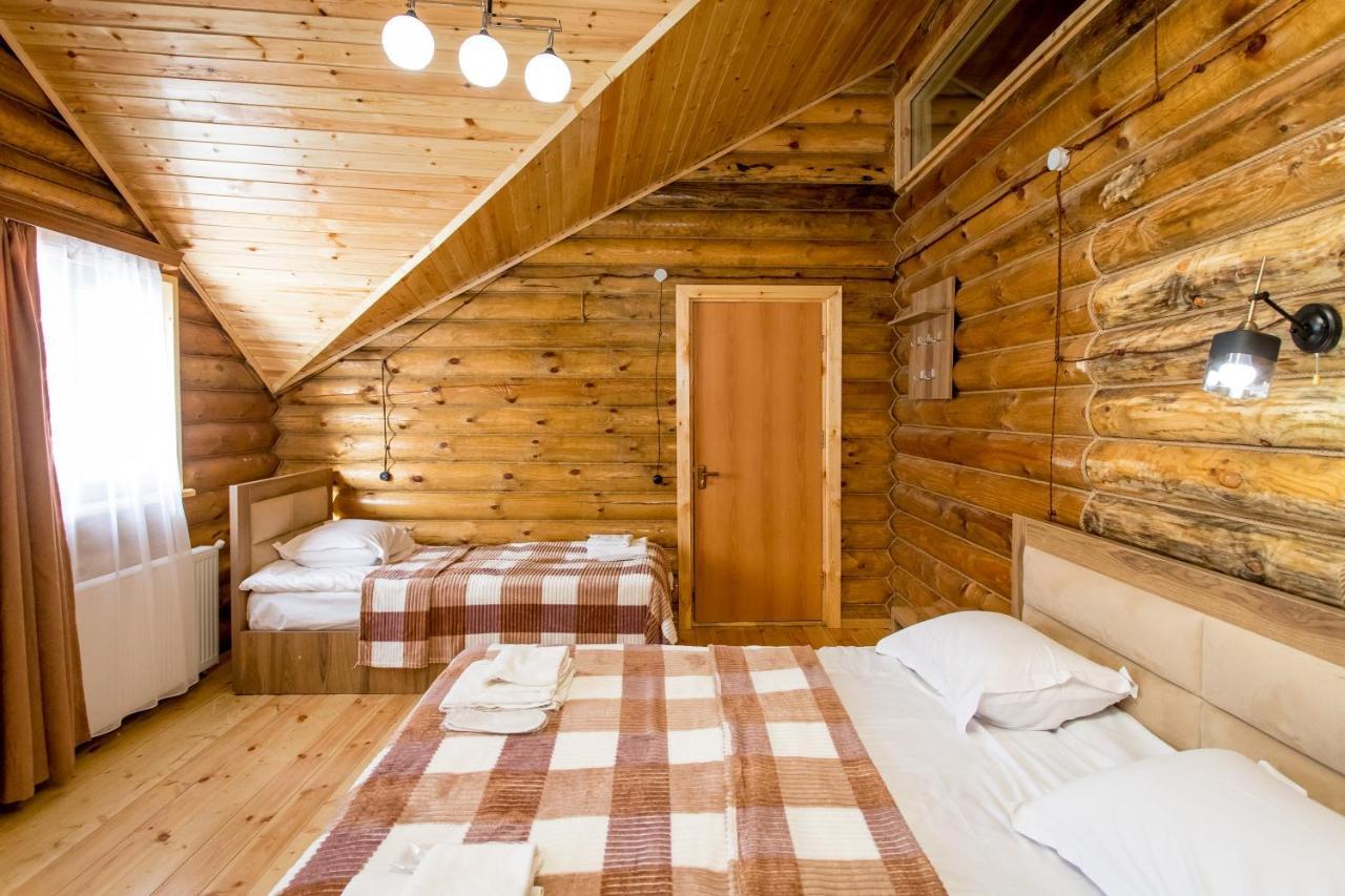 Snow Time Eco Chalet Goudaouri Extérieur photo