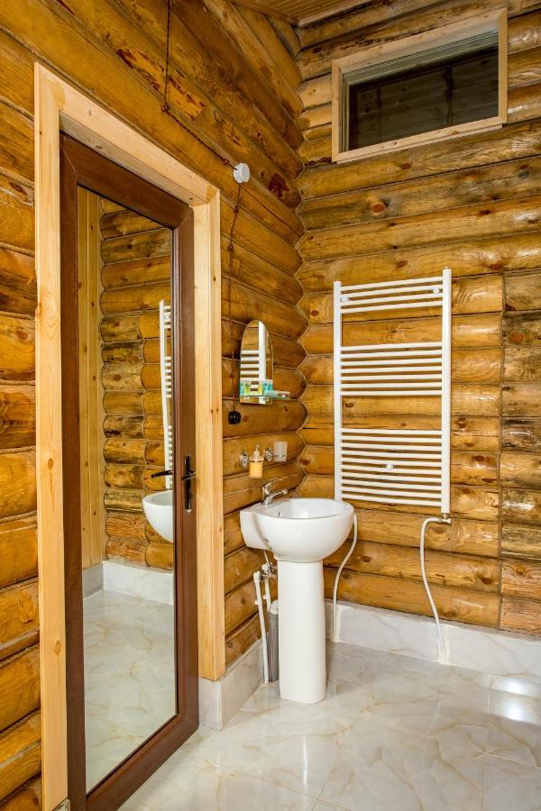 Snow Time Eco Chalet Goudaouri Extérieur photo